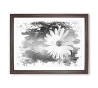 Flower Beautiful White Daisy V4 Modern Framed Print | A4 Walnut Framed Wall Art | Ready to Hang | Modern Floral Picture | Living Room Bedroom Lounge Office