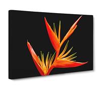 Flower Bird of Paradise Canvas Print | Gallery Wrapped 30mm Frame Wall Art | 20x14 inches | Ready to Hang | Modern Animals Picture | Living Room Bedroom Lounge Office