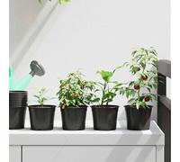 vidaXL Round Flower Pot 100 pcs Black Ã 10 x 8 cm Plastic