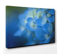 Flower Blue Hydrangea Canvas Print | Gallery Wrapped 30mm Frame Wall Art | 30x20 inches | Ready to Hang | Modern Floral Picture | Living Room Bedroom Lounge Office