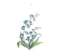 Flower Bluebells Illustration Art Print Canvas Premium Wall Decor Poster