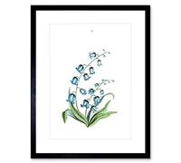 Flower Bluebells Illustration Art Print Framed Poster Wall Decor 12x16 inch
