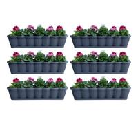 Flower Box Balcony Box Plant Box 6 Piece Set 80Cm Anthracite With Saucer