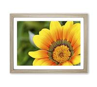 Flower Bright Yellow Modern Framed Print | A2 Oak Framed Wall Art | Ready to Hang | Modern Floral Picture | Living Room Bedroom Lounge Office