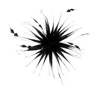 Flower brooch Double Color Feathers Clip Turkey Feather Corsage For Diy Party Hat Accessory Flower(Color-01)