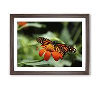 Flower & Butterfly No.2 Modern Framed Print | A2 Walnut Framed Wall Art | Ready to Hang | Modern Floral Picture | Living Room Bedroom Lounge Office