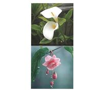 Flower Calendar 2026 - 28 x 28 cm Large Illustrated Wall Calendar with 12 Beautiful Floral Patterns, Decorative Planner for Organising the Annual Plan, Flower Lovers - Gift Decoration for