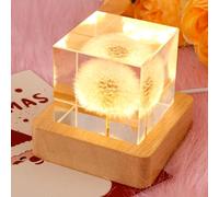 Flower Crystal Ball Night Light, USB Powered Glass Ball Night Lamp with Wooden Base, Fancy Crystal LED Night Light, Decorations Gifts for Men, Women, Kids, Boys, Girls, Teens(Dandelion Square)