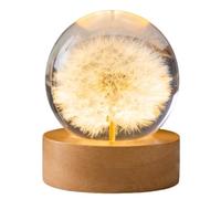 Flower Crystal Ball Night Light with Woodern Base Forever Flowers Crystal Ball Light Round Ball Night Lamp Gifts for Men Women Boys Girls (Round Dandelion)