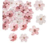 Flower Cupcake Toppers, 50Pcs Edible Cherry Blossom Cupcake Toppers, Flowers Cake Decorations, Cake for Wedding, Party Food Decoration