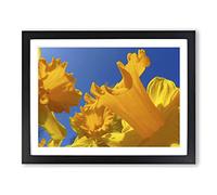 Flower Daffodil Yellow Modern Framed Print | A3 Black Framed Wall Art | Ready to Hang | Modern Floral Picture | Living Room Bedroom Lounge Office