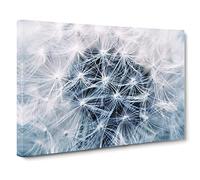 Flower Dandelion Seeds Canvas Print | Gallery Wrapped 30mm Frame Wall Art | 30x20 inches | Ready to Hang | Modern Floral Picture | Living Room Bedroom Lounge Office