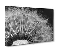 Flower Dandelion Seeds Vol.2 Canvas Print | Gallery Wrapped 30mm Frame Wall Art | 30x20 inches | Ready to Hang | Modern Floral Picture | Living Room Bedroom Lounge Office