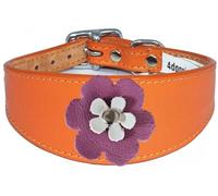 Flower Design Sighthound Leather Collar with Padded Backing for Whippet and Greyhound 2-7