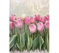 Flower Diamond Art Kits Adults, Diamond Painting Tulip Crystal Art Kits for Adults Kids DIY 5D Round Full Drill Gem Dots Embroidery Paintings Crafts Picture for Beginners, Room Decor 70x95cm 2y-101