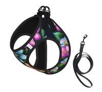 Flower Diamond Paintings Print Pet Leash Vest,Breathable Mesh Pet Harness, Reflective For Small Medium Dogs Safe Easy Walking