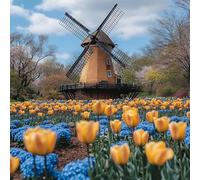 Flower DIY Diamond Art Kits Adults, Diamond Painting for Wall Decor, Cottage 5D Round Full Drill Crystal Art Kits, Cross Stitch Embroidery Crafts Pictures for Adults Beginners, Gifts, 12x12in 4-8918