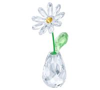 Flower Dreams Daisy