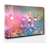 Flower Drops of Water on Dandelion Seeds Canvas Print | Gallery Wrapped 30mm Frame Wall Art | 30x20 inches | Ready to Hang | Modern Floral Picture | Living Room Bedroom Lounge Office