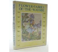 Flower Fairies of the Wayside