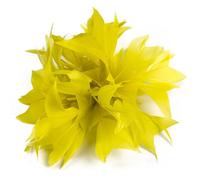 Flower Feather Bead Corsage Double Color Feathers Clip Turkey Feather Corsage For Diy Party Hat Accessory Flower(Color-06)