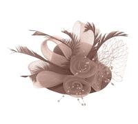 Flower Feather Fascinator Hat Wedding Cocktail Tea Party Mesh Net Headband Bridal Fascinators Hat Hairclips Headpiece Vintage Ladies Pillbox Hats Costume Headwear Accessories for Party (One Size)