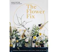 Flower Fix: Volume 2 Modern arrangements for a daily dose of nature (Fix Series)