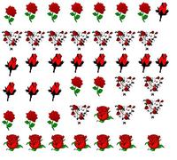 Flower Flowers Collection (# Rose Nail Art Decals C1)