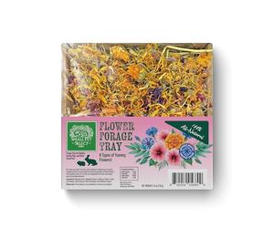Flower Forage Tray by Small Pet Select - All-Natural Treat with Hibiscus, Marigold, Rose & Meadow Grass for Rabbits, Guinea Pigs & Small Pets