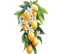 Flower Fruit Painting by Numbers for Adults, DIY Paint by Numbers, Craft for Adults Painting Kit, Acrylic Pigment Drawing Paintwork, Christmas Gifts Home Decorations 12x16in (Without Frame) s0ji-119