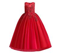 Flower Girl Dress Lace Embroidered Sleeveless Tulle Princess Dress Elegant Long Prom Dress Kids Festive Pageant Wedding Bridesmaids Cocktail Party Dress First Communion Dress, red, 13-14 Years