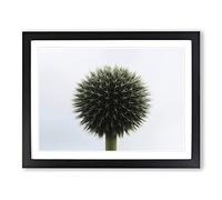 Flower Globe Thistle No.3 Modern Framed Print | A3 Black Framed Wall Art | Ready to Hang | Modern Map Picture | Living Room Bedroom Lounge Office