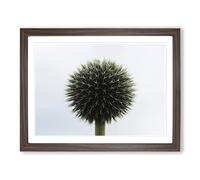 Flower Globe Thistle No.3 Modern Framed Wall Art Print, Ready to Hang Picture for Living Room Bedroom Home Office Décor, Walnut A2 (64 x 46 cm)