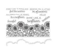 Flower Greetings Words Transparent Silicone Stamps and Street Metal Cutting Dies for Card Making DIY Scrapbooking Paper Craft Scrapbooking Accessories Embossing Stencils Template