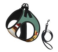 Flower Guinea Pig Print Pet Leash Vest,Breathable Mesh Pet Harness, Reflective For Small Medium Dogs Safe Easy Walking