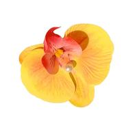 Flower Hair Clips,Phalaenopsis Flower Hairpin | Elegant Artificial Flower Cute Hair Clips, Boho Orchid Hair Accessories for Birthday Holiday