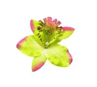 Flower Hairpin Cute Fashion Decoration Hair Pin Headwear Props Decorative Accessory for Casual Wedding Vocation Green