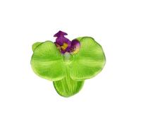 Flower Hairpin Fashion Decoration Portable Hair Pin Headwear Photography Props for Wedding Party Daily Vocation No. 15, Phalaenopsis fruit green