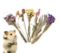 Flower Hamster Bedding, Gerbil Bedding, raat Bedding, Small Animal Flowers Habitat Decor | Natural Theme Cage Decoration Flower Hamster Bedding Cage Accessories For Gerbils, rabit Bedding, Aspen Bed
