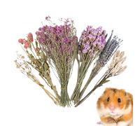 Flower Hamster Bedding, Hamster Sprays, Hams-ter Bedding, Cage Enclosure Habitat Decor Mate Small Animal Natural Ear Of Grain Sprays For Hamsters Gerbils Other Pets