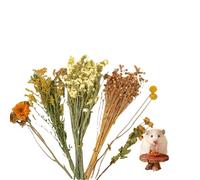 Flower Hamster Bedding, Hamster Sprays, Hams-ter Bedding, Cage Enclosure Habitat Decor Mate Small Animal Natural Ear Of Grain Sprays For Hamsters Gerbils Other Pets (B)