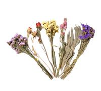 Flower Hamster Bedding - Natural Theme Cage Decor For Small Pets | Colourful Floral Bedding Accessories For Gerbils | Mice | Hamsters | Cute Habitat Decoration And Soft Nesting Material