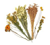 Flower Hamster Bedding - Small Animal Flowers Habitat Decor | Mice Habitat Enclosure Decor | Natural Hamster Bedding Flowers | Natural Ear Of Grain Flower | Habitat Decor Sprays Set For Gerbils
