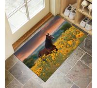 Flower Horse Door Mats Indoor, Machine Washable Soft Doormats, Dirt Trapper Door Mat, Super Absorbent Entrance Rug, Pastoral Animals Non-Slip Floor Mats For Inside (60 X 90 Cm, Mixed Colors)