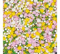Flower In The Rain - Gluten Free Vegan Sprinkles Mix Cake Decoration