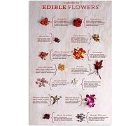 Flower Knowledge Metal Sign Vintage Garden Decor a Guide to Edible Flower Tin Poster Home Kitchen Club Wall Decoration Plaque 8x12 Inch