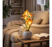 Flower Lamp - Stepless Dimming Crystal Orchid Night Light - Rechargeable Ceramic Flower Pot Table Lamp - Decorative Phalaenopsis LED Floral Light for Home Bedroom Aesthetic Decor and Office - Pink