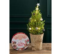 Flower Market Natural Decorated Real Christmas Tree 55-60cm with Merry Munch Tin