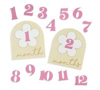 Flower Monthly Baby Milestone Cards, 1-12 Months Interchangeable Month Baby Milestone Signs, Months Baby Milestone Wooden Circles, Baby Announcement Sign, Newborn Photo Props (Wooden)