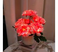 Flower Night Light, USB Plug-in Peony Flower with Vase Lamp, Infinite Dimming Ambient Light, LED Desktop Decorative Landscape Lights for Living Room Home Decor (Pink - Peony)